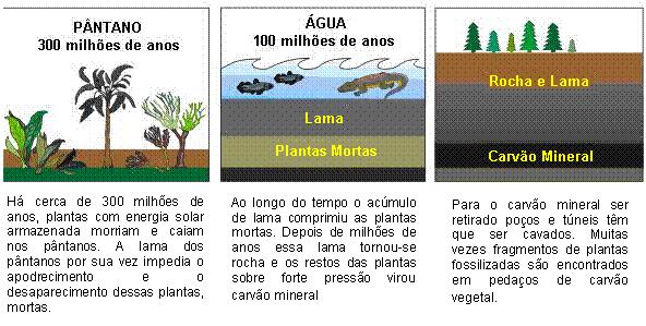 Rochas biogénicas