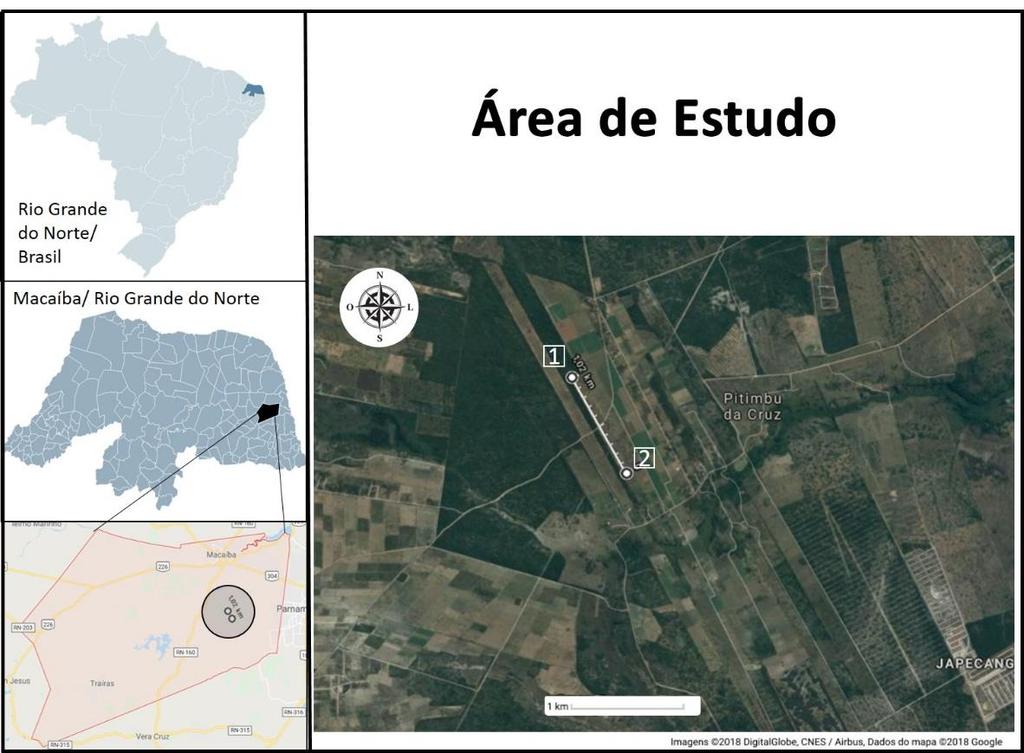 Justificada esta necessidade, o presente trabalho propõe, acompanhar a colonização da fauna entomológica, a fim de analisar sua composição, bem como se há um padrão de sucessão, em duas carcaças de