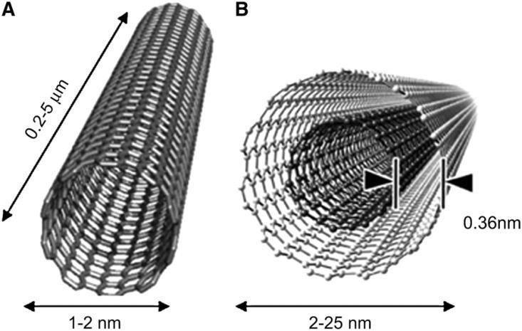 26 Figura 05 Representação da estrutura de nanotubos de carbono (a) NTCPS (b) NTCPM Fonte: (JNM, 2012) Como principais propriedades podem ser destacadas o módulo elástico, podendo chegar a 1 TPa, a