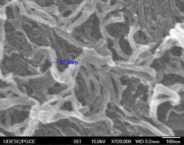 63 Figura 18 (a) Região de fibrilas de PEAD e nanotubos de carbono. (b) Nanotubo de carbono incluso na matriz de PEAD.