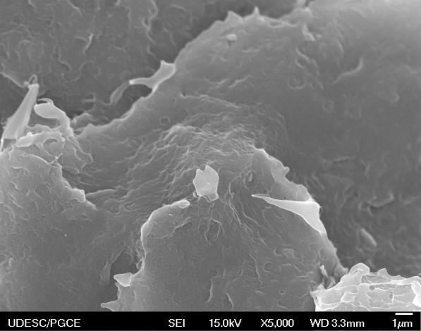 pois a área superficial das nanopartículas é reduzida se comparado à área possível de obtenção com as nanopartículas esfoliadas.