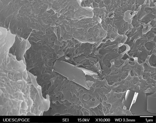 66 G05S, indicando redução do tamanho dos nanoplateletes nos nanocompósitos com grafenos dispersados por solução.