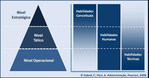 Figura 3 - Habilidades. Fonte: (Sobral & Peci, 28) Gabarito: errada 21.