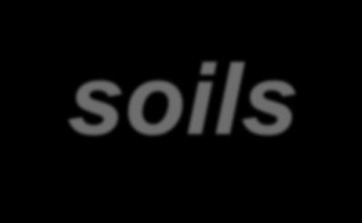 soils elf.