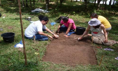 Figura 5: Escavações em sítio arqueológico Após seis dias em Amanã, nos deslocamos para a RDS Mamirauá, onde em época de cheia do rio as atividades se concentraram especificamente em flutuantes e