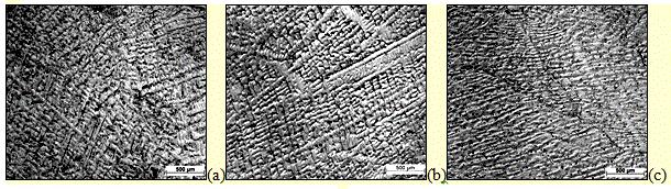 2703 Figura 3. Micrografias da liga fundida e laminada a 700 C obtidas em microscópio óptico, (a), (b) e (c) laminadas com redução da espessura 40, 60, 80% de redução.