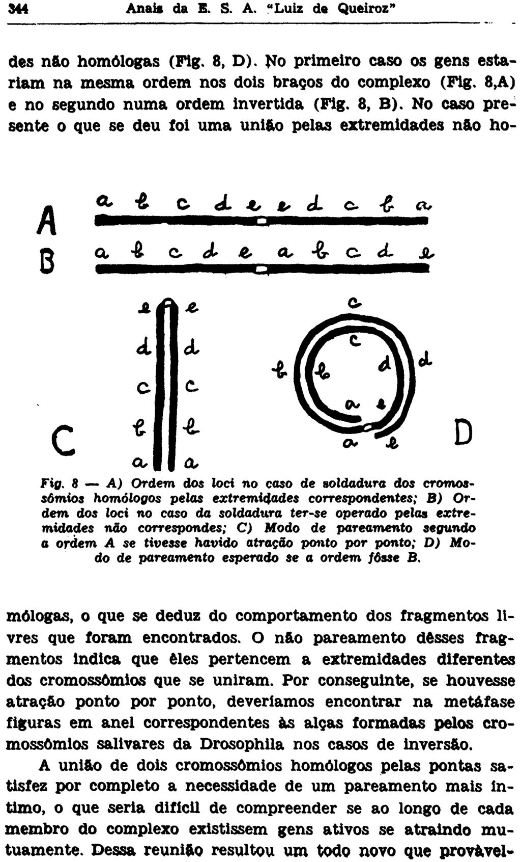 des n&o homólogas (Fig. 8, D). No primeiro caso os gens estariam na mesma ordem nos dois braços do complexo (Fig. 8,A) e no segundo numa ordem invertida (Fig. 8, B).