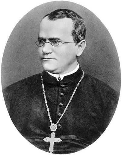 Gregor Mendel O pai da Genética 1822 1884/ Áustria; Estudou a