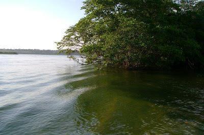 A exuberância do ecossistema no estado do Mato Grosso do Sul atrai turistas para a região.