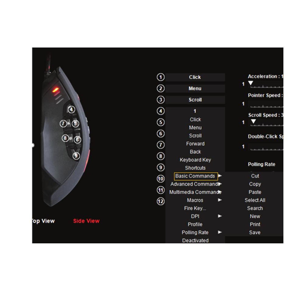 3. Basic commands In the Assignments signments box, select ect the Basic Commands function where you can