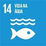 água (10) Conservação e uso sustentável dos oceanos, dos mares e dos recursos