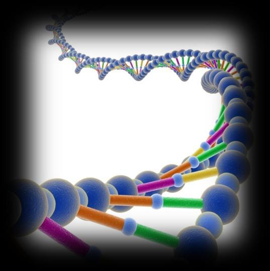 REP-PCR (REPETITIVE SEQUENCE BASED-PCR) A técnica Rep-PCR faz uso de sequências oligonucleotídicas iniciadoras complementares de sequências de DNA repetitivas presentes em numerosas cópias