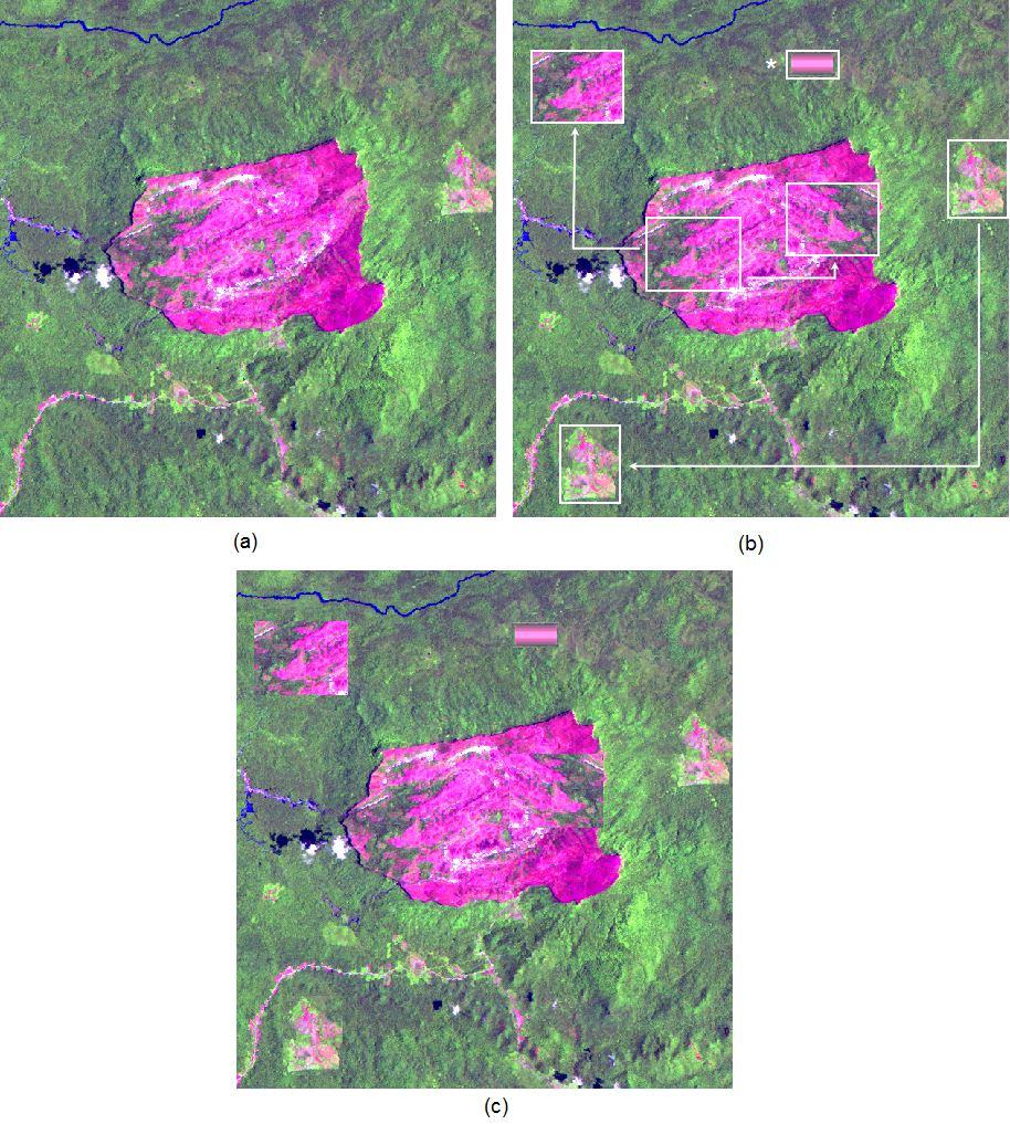 Figura 11 - Recorte da cena Landsat 5-TM de Outubro de 1991 utilizada: (a) composição em falsa cor 5(R) 4(G) 3(B) da imagem correspondente à primeira data, (b) croqui explicativo das mudanças