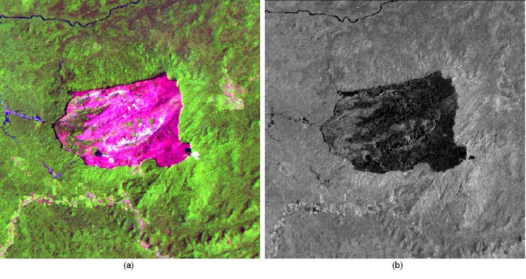 Figura 23 - Imagem Landsat de Abril de 1994 utilizada no segundo experimento como data 2: (a) composição em falsa cor 5(R) 4(G) 3(B), (b) fração