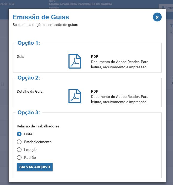 GRFGTS Módulo Consulta -Disponível