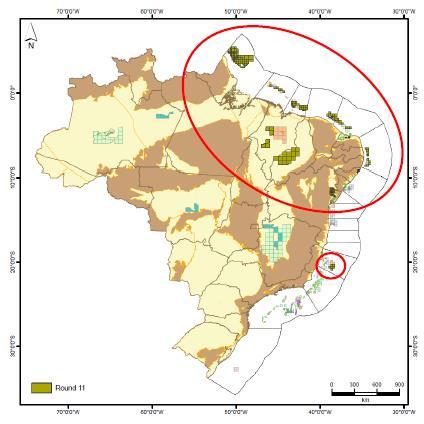 blocos; Petra empresa que mais adquiriu blocos na 11ª Rodada: 9 no Paranaíba; 15 na Bacia do Tucano Sul; BG responsável por 2 dos 5 maiores Bônus de Assinatura na Bacia de