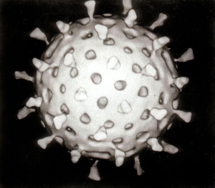 Disseminação de Informação Epidêmica/Baseada em Boatos Baseada na maneira como doenças infecciosas se espalham Periodicamente, cada participante infecta