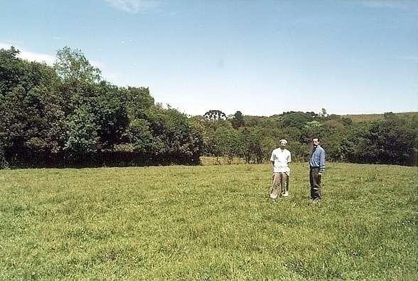 Campo nativo melhorado com introdução de trevo branco desde 1990 e sem queima desde 1965 (41 anos).