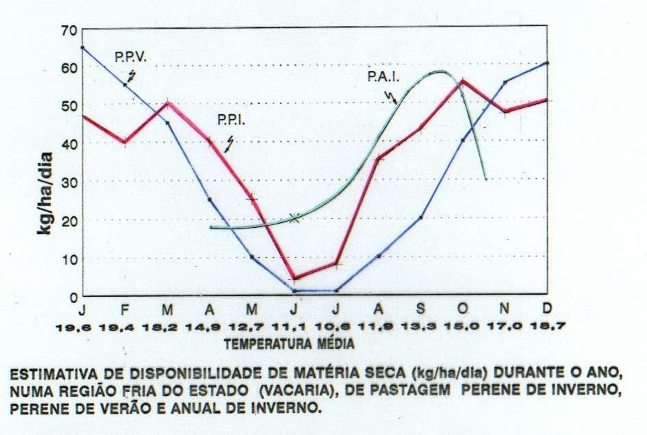 Adaptado