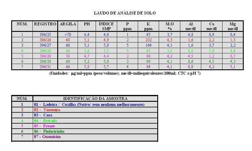 1 - área queimada. 2 área não queimada (vassoura). Prop. Augusto J. da Silva. André da Rocha, RS. 1998.