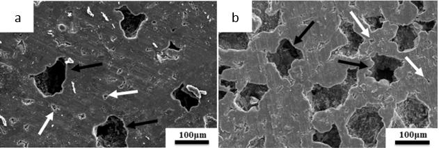 Bi, Zheng e Li (2015) vêm estudando a obtenção das espumas metálicas utilizando magnésio como elemento principal da matriz, por meio do processo de metalurgia do pó.
