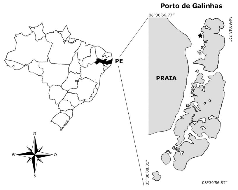 3 Área de Estudo A praia de Porto de Galinhas, município de Ipojuca, está localizada no litoral sul de Pernambuco, a uma distância de 70 km da capital Recife.