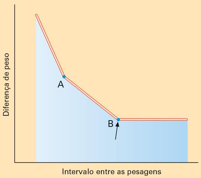 estômatos iniciam o fechamento ponto b = estômatos