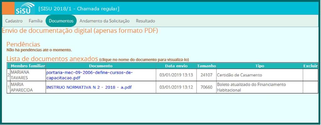 Durante os processos de Conferência dos documentos e de Análise socioeconômica, se for detectada a necessidade ou ausência de alguma documentação, a equipe poderá solicitar pendências que será