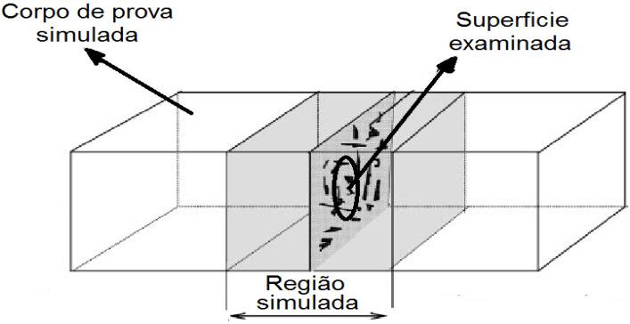 65 (a) (b) Figura 3-7 Superfície examinada nos corpos de prova simulados (a) e real (b) por MO e MEV. 3.9.1.