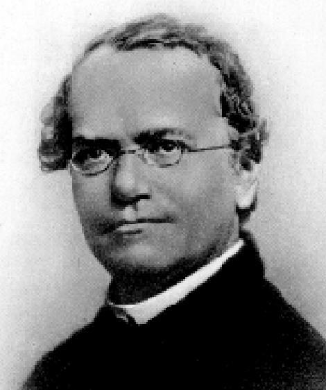 Fatores, gêmulas, genes (1865) Gregor Mendel