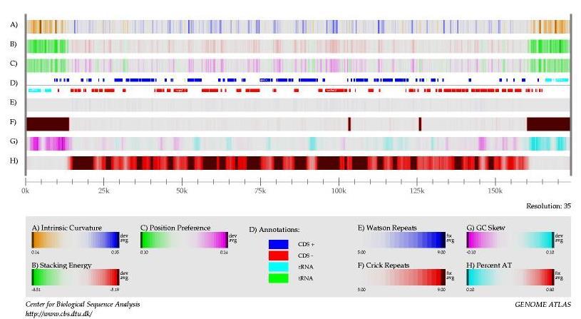 elegans In: http://www.