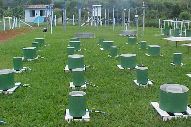 . Na análise dos resultados foram excluídos os dias com ocorrência de precipitação pluvial, pois a chuva afeta a leitura da lâmina evaporada e, conseqüentemente, a qualidade dos dados.