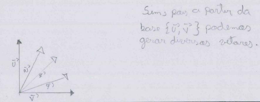 Ao ser questionada se qualquer vetor do plano poderia ser escrito como combinação linear de dois vetores colineares, a dupla relatou que só existiria essa possibilidade para vetores que fossem