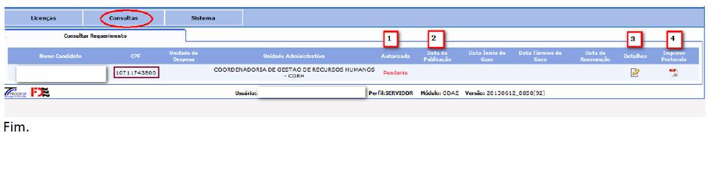 Após lida todas as Declarações, confirme seu Pedido. Na Tela Consultas, Você poderá acompanhar/visualizar seu requerimento. 1.