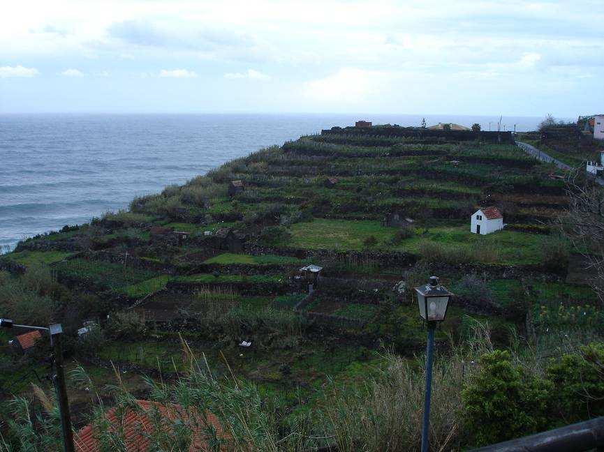 abandono dos campos, com consequências obviamente negativas para a economia, para o ambiente (problemas de erosão do solo, desenvolvimento de espécies