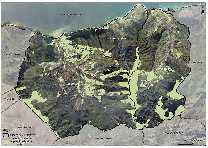 As áreas classificadas como floresta congregando todas as sub-categorias correspondem a 71,21% da área total do concelho de São Vicente.