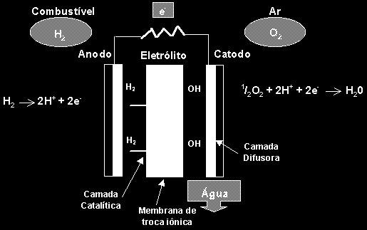 20 e calor. No circuito externo acontece a formação de trabalho elétrico (Wendt et al., 2000).