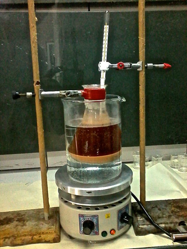 de gelo, respectivamente. O controle de ph foi feito através de um phmetro. A etapa de destilação foi feita com o uso de um rota-evaporador (Maciel, 2016; Cinelli et al.