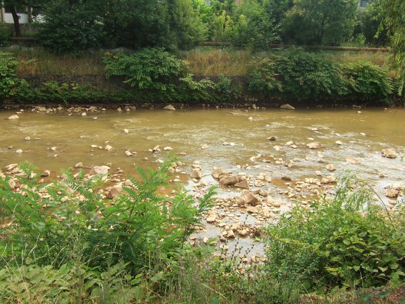 Impactes da exploração dos recursos naturais Durante muitos anos, o rio Alviela permaneceu poluído, provocando a morte de muitos peixes, alguns dos quais importantes ou para a alimentação ou por se