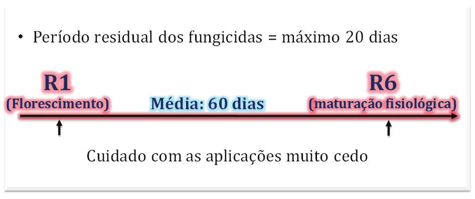 10 Sistema de Integração Lavoura-Pecuária: O modelo implantado na Embrapa Milho e Sorgo Figura 6. Período residual dos fungicidas em relação ao período de enchimento dos grãos na cultura do milho.