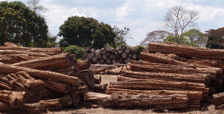 2013) Charcoal (domestic market) (Photo) m³ madeira em toros 600,000 Produção de carvão (yr 2013) DNTF t carvão m³