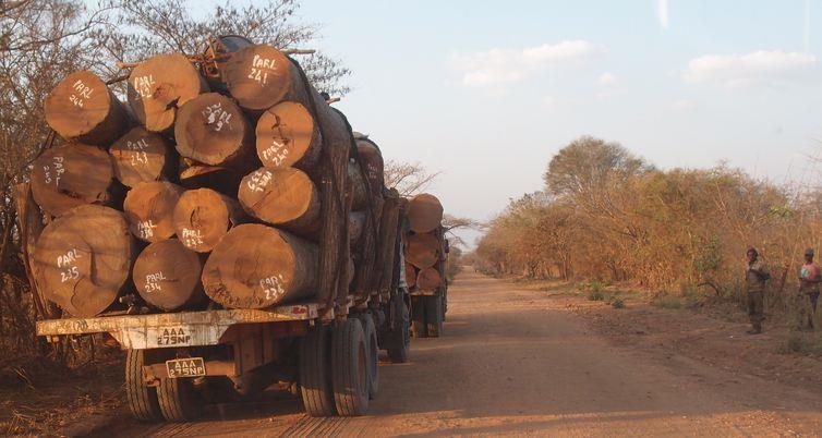 CUSTOS DE PRODUÇÃO Toros Taxa de exploração Identificação de árvores, abate, seccionamento, concentração e carregamento Item Espécies preciosas: Espécies de