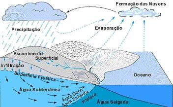 Curso: ENSINO FUNDAMENTAL 2 Trabalho de Recuperação 1º SEMESTRE Foco, Força e Fé Turma: 9º Ano Data: / /2019 Valor: 12,0 Nota: Disciplina: BIOLOGIA Professor(a) NIZE G.