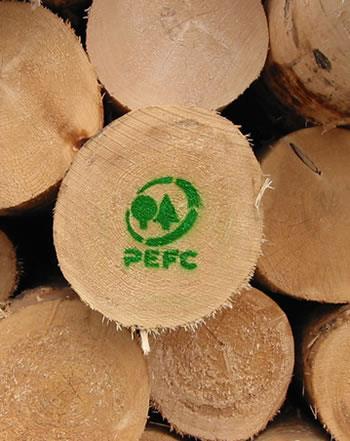 Certificação Regional: (apenas no sistema PEFC) A certificação florestal regional requer a existência de uma entidade legal que exerça as funções de entidade gestora regional, e que agrupe de forma