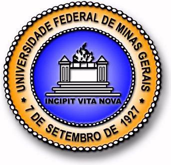 Universidade Federal de Minas Gerais Instituto de Ciências Exatas Departamento de