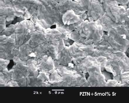 Para os compactos de PZTN dopados com estrôncio, a revelação nos contornos de grão não