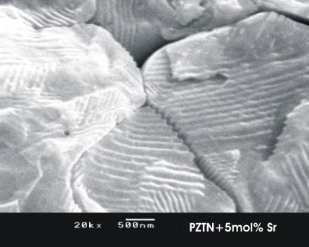 A amostra de PZTN apresenta contornos de grãos bem definidos, embora possa se notar