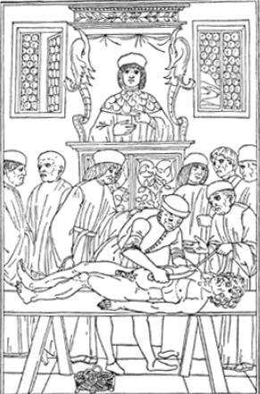 Aula 1- Introdução ao estudo de Anatomia Humana HISTÓRIA DA ANATOMIA Mondino de Luzzi (1276-1326):