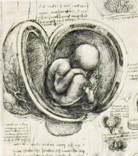 Leonardo da Vinci (1452-1519), os desenhos de