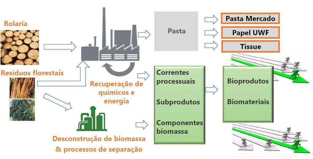 PROJETO INPACTUS Projeto a desenvolver a 4 anos